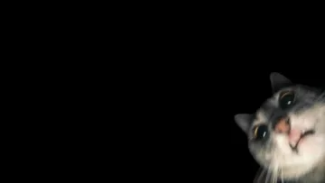 Imagem 2 do serviço